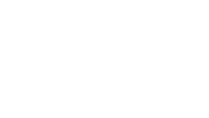 ICE Agenzia